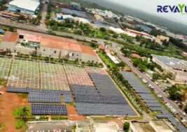 WhatsApp Image 2023-07-05 at 14.58.56 WhatsApp Image 2023-07-05 at 14.58.56