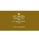 Untitled design - 2024-12-20T132538.554